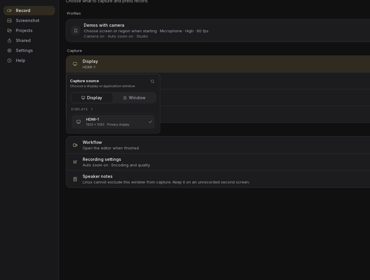 The Screenix Capture source picker on X11 with Display and Window tabs.